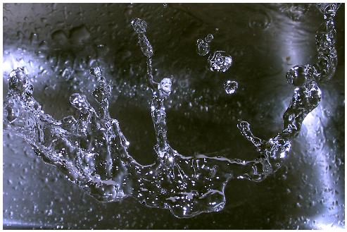 Freeze